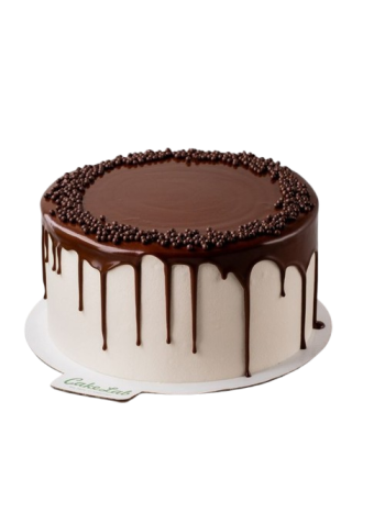 Special Occasion Choco Cream Cake