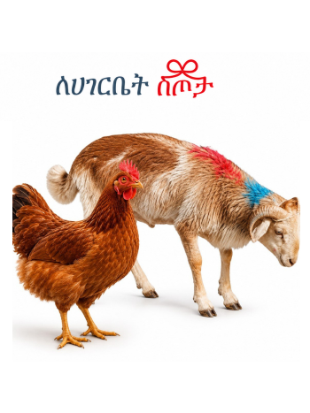 sheep and chicken Holiday Gift Package